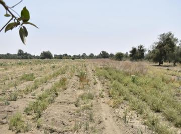 Terreno / Lote , Atlautla · Venta Terreno Urbanizado en Atlautla, Edo. Mex. Oportunidad!