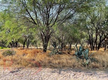 Terreno / Lote , San Miguel de Allende · Terreno Mision en Los Frailes