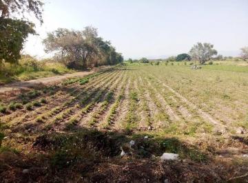 Terreno / Lote , Tlaltizapán de Zapata · 80 Ha Escrituradas Tlaltizapan Morelos Cerca Autopista Siglo Xxi