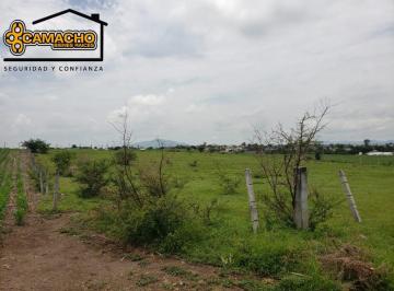 Terreno / Lote , Yecapixtla · Terreno en Venta, Yecapixtla Oct - 142