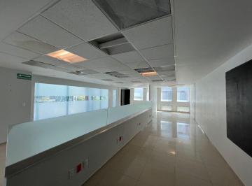 13abd39747f8354f0d9b500f6e0c6c3595640736669848885b37a41539c60792 · Renta Oficina 350 m² Acondicionada - Paseo de Las Palmas, Lomas de Chapultepec