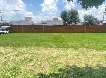 Terreno / Lote , Metepec · Terreno Habitacional 396 m² Providencia. Metepec, Edo de Mexico.