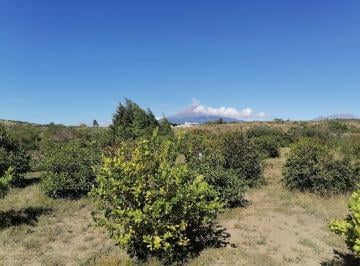 Terreno / Lote · 6050m² · Terreno en Venta en Santa Isabel Cholula - (4)
