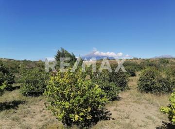 Terreno / Lote · 6050m² · Terreno en Venta en Santa Isabel Cholula - (4)
