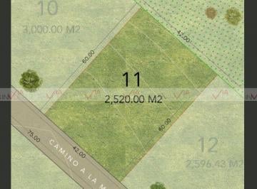 Terreno / Lote · 2520m² · 1 Recámara · 1 Estacionamiento · Terreno / Lote en Venta en Miguel Hidalgo