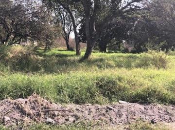 Terreno / Lote · 16000m² · Terreno - Pueblo Alpuyeca