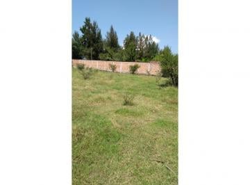 Terreno / Lote , Tlajomulco de Zúñiga · Terreno en Renta de 10176 m, Ubicado en Tlajomulco Junto a Cortijo La Pasión.