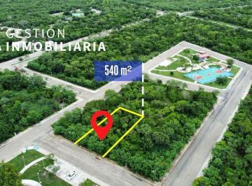 Terreno / Lote · 540m² · Terreno en Venta Residencial Balku Komchen Yuc. Ctv 250