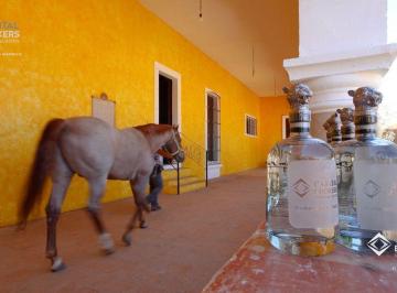 69c097bbc1afa38af5950883c4b4ac242560aad65c669e401e9a6f9e90cd90ab · Ex Hacienda La Parreña del Siglo Xix El Arenal, Jalisco. a 30 Min de Gdl.