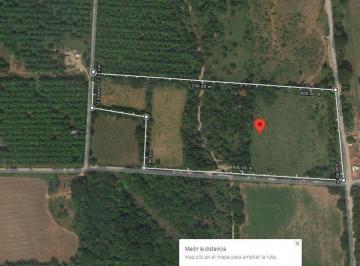 Terreno / Lote , Manzanillo · Terreno de Venta Manzanillo Colima