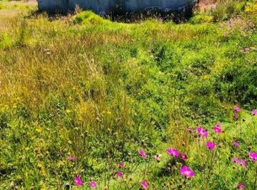 Terreno / Lote , Toluca · Terreno en Venta Toluca Arroyo Vista Hermosa