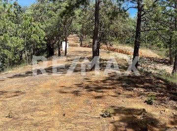 Rancho · 4930m² · 1 Recámara · Rancho en Venta - (4)