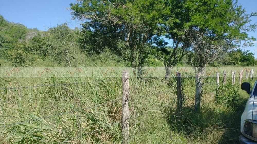 Luxury Villa for Sale in González