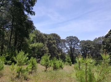 Terreno / Lote , Nicolás Romero · Bosque Privado: un Sueño Que Puedes Hacer Tuyo | Acepto Permuta