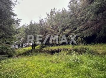 Terreno / Lote · 18000m² · Terreno en Venta - (4)