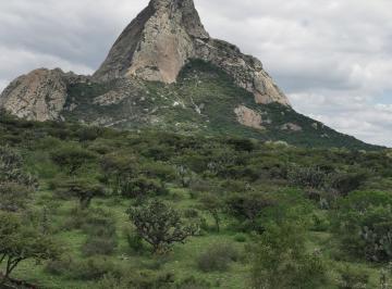 Vista a la Peña de Bernal · Espectacular Macrolote en Peña de Bernal