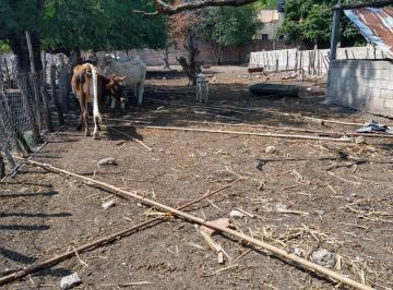 Terreno / Lote , Tetecala · Venta Terreno Escriturado en El Centro de Tetecala Morelos