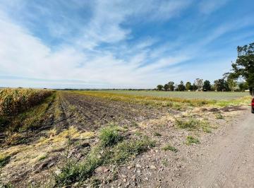 Terreno / Lote , Salamanca · Terreno en Venta, Camino a La Ordeña, $200 Mxn por m²