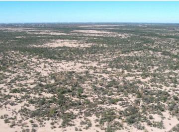 Terreno / Lote · 495596m² · Terreno 50 Hectáreas Rústico Agricola Ganadero en Venta Col Revolución Mexicana Cd Constitución Bcs