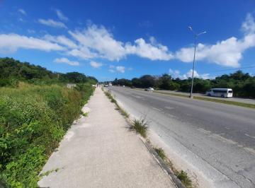 Terreno / Lote · 51174m² · Venta Terreno Carretera Playa - Tulum por Xcaret, Playa del Carmen, Quintana Roo. - (4)