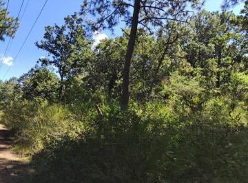 Terreno / Lote , Tapalpa · Terreno en Tapalpa Rodeado de Bosque