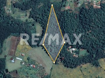 Terreno / Lote · 19000m² · Terreno en Venta - (4)