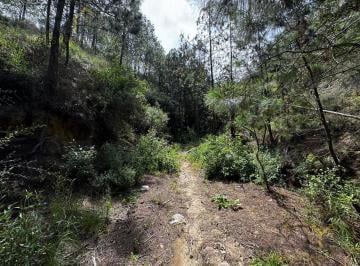 Terreno / Lote · 310000m² · Terreno en Venta en Perote en La Zona Antigua Normal