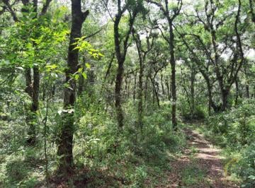 Terreno / Lote · 68847m² · Terreno en Venta en Coacoatintla Veracruz Km 9 con Produccion de Piedra