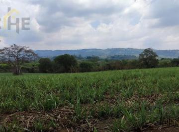 Terreno / Lote · 41129m² · Terreno en Venta en Pacho Nuevo 4 Hectáreas