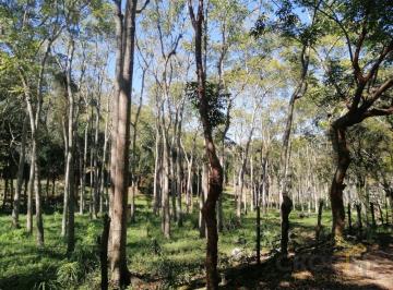 Terreno / Lote · 105000m² · Se Vende Terreno en La Concepción Veracruz