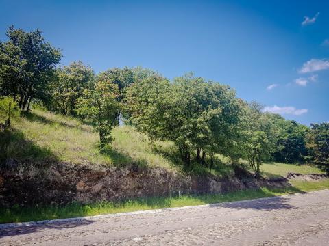 Venta de lote en Fraccionamiento Haras del Bosque, para construir t…