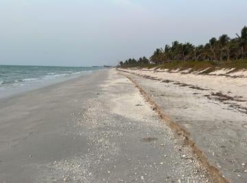 Terreno / Lote · 900m² · Terrenos en Venta a Primera Línea de Mar en Sabancuy Campeche - (4)