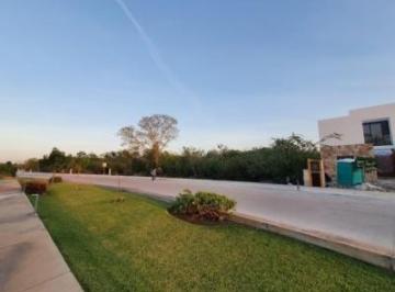 Terreno en Venta en Komchen, Merida Yucatan · Terreno en Venta en Komchen, Merida Yucatan