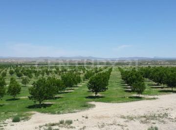 Rancho · 1100000m² · Rancho en Venta en Coyame Chihuahua