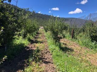 Terreno / Lote , Arteaga · Rancho de 26,255 m² en Venta, Arteaga