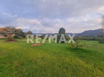 Terreno / Lote · 5446m² · Terreno en Venta - (4)