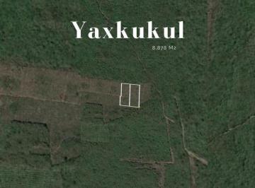 Terreno / Lote , Yaxkukul · Terreno en Venta Mérida Ubicado en Yaxkukul