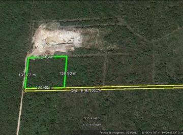 Terreno / Lote · 23760m² · Terreno en Venta Mérida, Herctáreas Ideal Para Desarrollo Inmobiliario