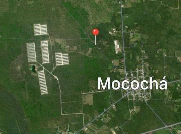 Terreno / Lote , Mocochá · Terreno en Venta Mérida Mococha