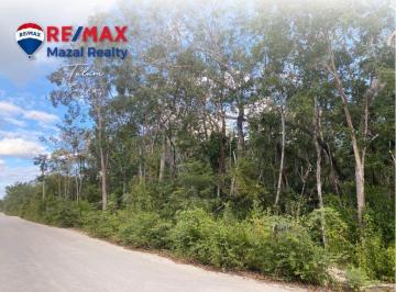 Terreno comercial · 2500m² · Venta Terreno 2500 m² en Reg 08 Para Desarollador - (4)