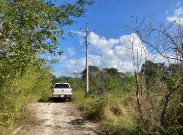 Terreno / Lote , Progreso · Terreno en Venta, Misnebalam (Mérida)