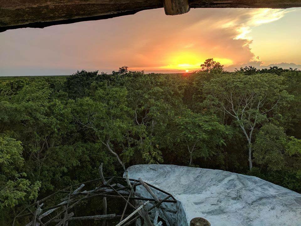 Build Your Dream | Exclusive Land Plots by Hectare in the Heart of the Riviera Maya Jungle
