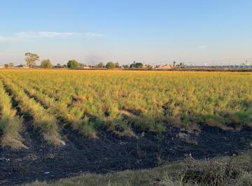 Terreno comercial · 57999m² · Terreno en Venta - (4)