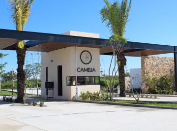Terreno / Lote · 270m² · En Venta Terrenos Residenciales en Privada Camelia en Mérida Yucatán. - (4)