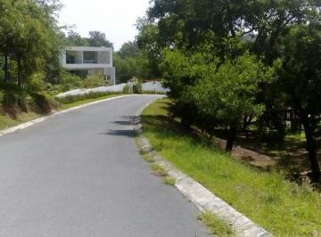 Terreno / Lote , Allende · Terrenos en Venta San Eugenio, Allende, N. L.