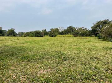Terreno / Lote · 800m² · Terreno de 800 m² en Venta en Ejido Playa de Vaca. Medellín, Veracruz.