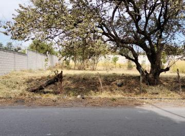 UBICADO SOBRE CALLE PRINCIPAL · Terreno en Venta, Acceso a Todos Los Servicios Cercano a Autopista, Témixco, Mor