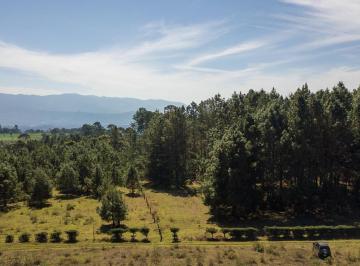 Terreno / Lote · 49000m² · Terreno en Venta - (4)