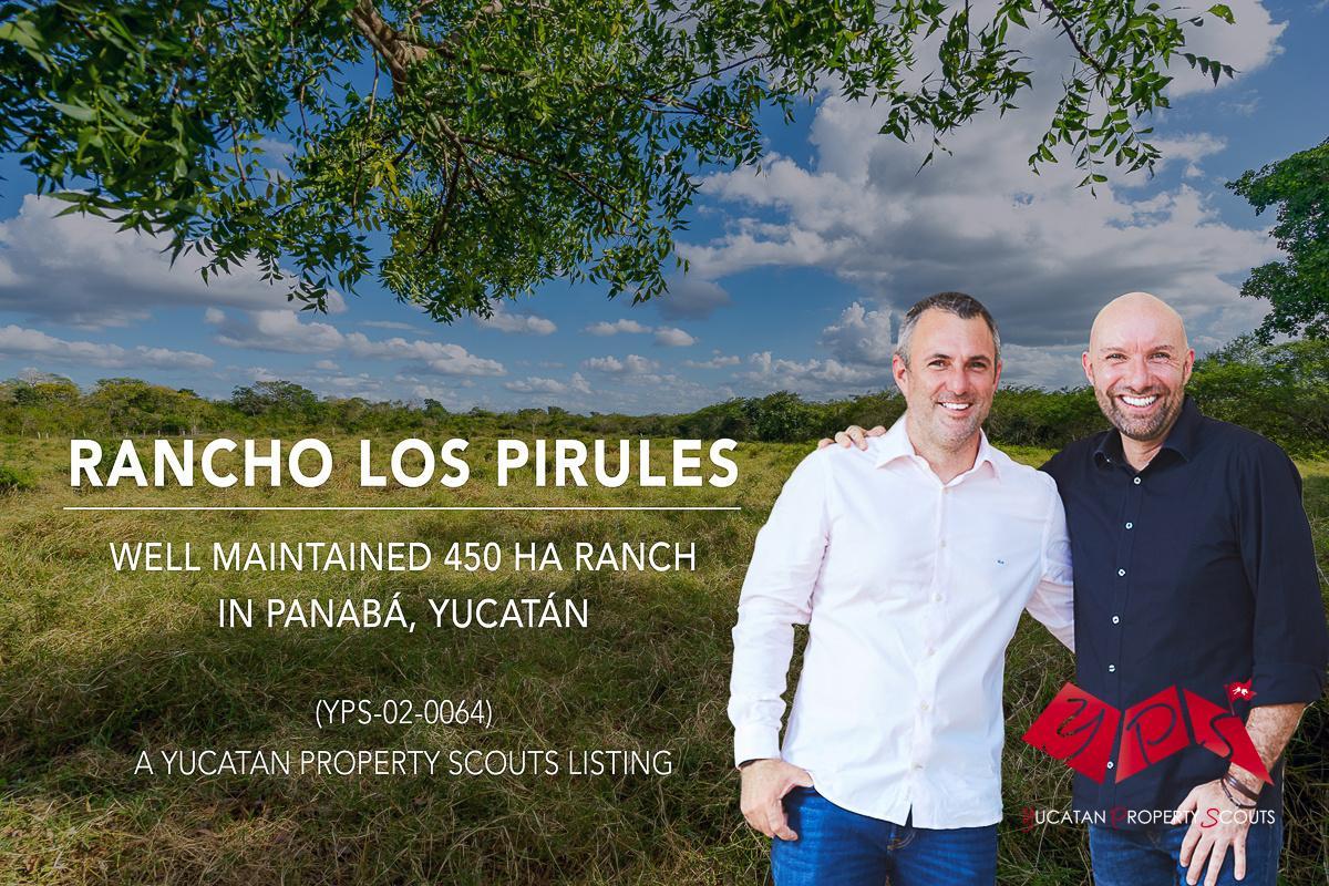 Rancho de 450 Ha Bien Mantenido en El Corazón de La Región Ganadera de Panabá