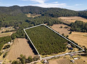 Rancho · 225m² · 3 Recámaras · Rancho en Venta - (4)